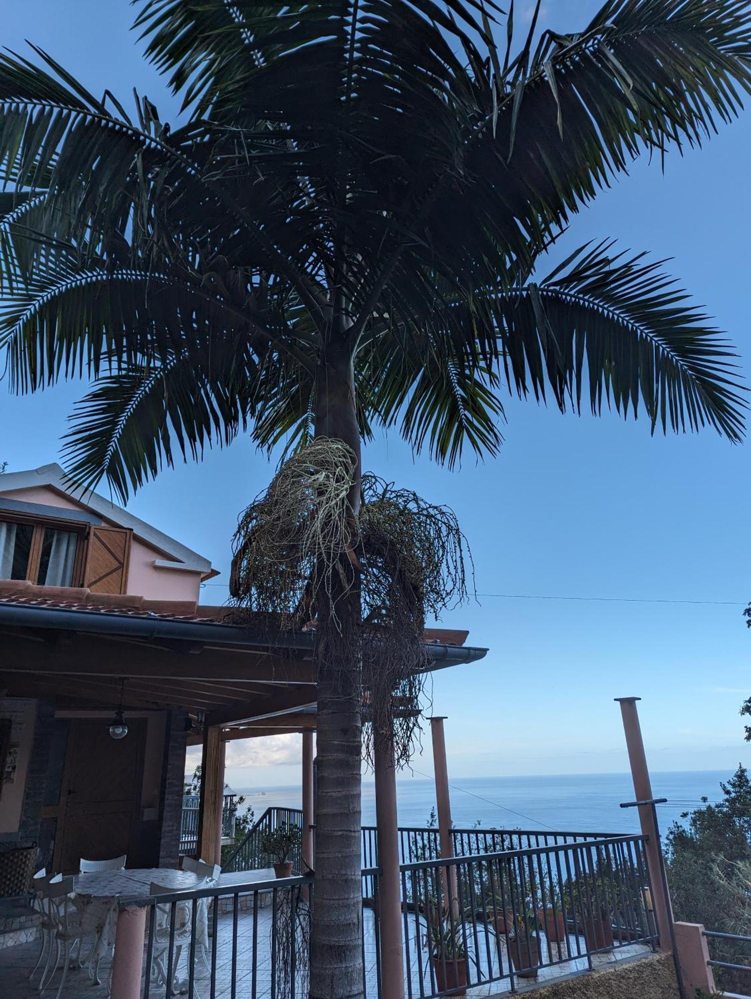 Fantatic Holiday House Ponta Delgada  Ngoại thất bức ảnh